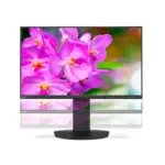 Монитор NEC EA241F-BK 60004786 (23.8 ", IPS, FHD 1920x1080 (16:9), 75 Гц)