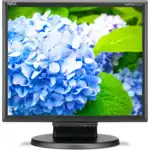 Монитор NEC MultiSync E172M-BK (17 ", IPS, 1280x1024 (5:4), 60 Гц)