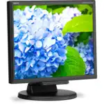 Монитор NEC MultiSync E172M-BK (17 ", IPS, 1280x1024 (5:4), 60 Гц)