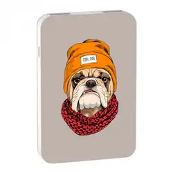 Power Bank Ritmix RPB-10007 Bulldog RPB-10007-BULLDOG (10000 мАч, Бежевый)