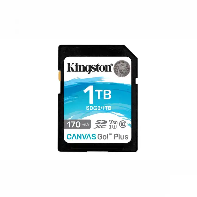 Флеш (Flash) карты Kingston Canvas Go! Plus SDG3/1TB (1 ТБ)