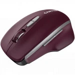 Мышь Canyon MW-21 CNS-CMSW21BR Бюджетные, Беспроводная